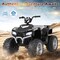 Honeyjoy 24V Kids Ride-On Electric ATV 4-Wheeler Quad Car with Wireless Connection Black/Blue/Pink/Red/Purple